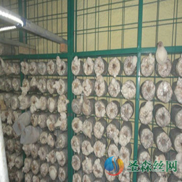 養(yǎng)殖網片案例